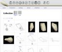 Collections of dutch clay pipes from Gouda